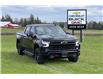 2024 Chevrolet Silverado 1500 LT Trail Boss (Stk: 924820) in New Hamburg - Image 1 of 21