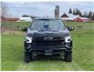 2024 Chevrolet Silverado 1500 LT Trail Boss (Stk: 924820) in New Hamburg - Image 2 of 21