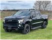 2024 Chevrolet Silverado 1500 LT Trail Boss (Stk: 924820) in New Hamburg - Image 3 of 21