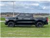 2024 Chevrolet Silverado 1500 LT Trail Boss (Stk: 924820) in New Hamburg - Image 4 of 21