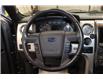 2014 Ford F-150  (Stk: T3073A) in Watrous - Image 19 of 37