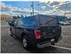 2017 Ford F-150 XLT (Stk: 2604177) in Waterloo - Image 3 of 17