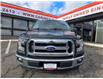 2017 Ford F-150 XLT (Stk: 2604177) in Waterloo - Image 9 of 17