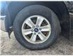 2017 Ford F-150 XLT (Stk: 2604177) in Waterloo - Image 10 of 17