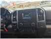 2017 Ford F-150 XLT (Stk: 2604177) in Waterloo - Image 15 of 17