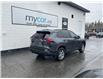 2023 Toyota RAV4 Hybrid XLE (Stk: 260290) in Ottawa Central - Image 3 of 22