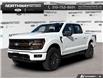 2026 Ford F-150 Tremor (Stk: 6F174753) in Brantford - Image 1 of 23