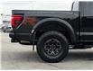 2024 Ford F-150 Raptor (Stk: DU8317) in Ottawa - Image 6 of 20 2024 Ford F-150 Raptor (Stk: DU8317) in Ottawa - Image 6 of 20