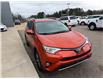 2016 Toyota RAV4 XLE (Stk: 24832) in Pembroke - Image 8 of 20 2016 Toyota RAV4 XLE (Stk: 24832) in Pembroke - Image 8 of 20