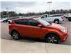 2016 Toyota RAV4 XLE (Stk: 24832) in Pembroke - Image 10 of 20 2016 Toyota RAV4 XLE (Stk: 24832) in Pembroke - Image 10 of 20