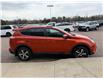 2016 Toyota RAV4 XLE (Stk: 24832) in Pembroke - Image 11 of 20 2016 Toyota RAV4 XLE (Stk: 24832) in Pembroke - Image 11 of 20