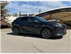 2024 Lexus RX 350h Base (Stk: 260485A) in Calgary - Image 2 of 18