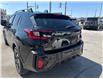 2024 Subaru Crosstrek Limited (Stk: L748) in Newmarket - Image 7 of 19