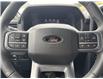 2026 Ford F-150 XLT (Stk: 6T056) in Williams Lake - Image 13 of 13