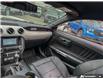2016 Ford Mustang GT (Stk: C294017) in Richmond - Image 25 of 25