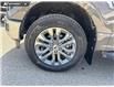2026 Ford F-150 XLT (Stk: 26T0776) in Red Deer - Image 6 of 24