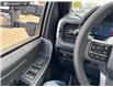 2026 Ford F-150 XLT (Stk: 26T7449) in Red Deer - Image 16 of 24