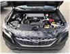 2024 Subaru WRX Base (Stk: 808336) in Ottawa - Image 23 of 23 2024 Subaru WRX Base (Stk: 808336) in Ottawa - Image 23 of 23