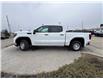 2026 GMC Sierra 1500 Pro (Stk: TG189271) in Calgary - Image 2 of 20
