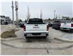 2026 GMC Sierra 1500 Pro (Stk: TG189271) in Calgary - Image 4 of 20