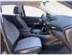 2017 Ford Escape SE (Stk: P3376) in Regina - Image 15 of 19 2017 Ford Escape SE (Stk: P3376) in Regina - Image 15 of 19