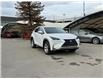 2017 Lexus NX 200t Base (Stk: 260570B) in Calgary - Image 1 of 17