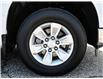 2023 Chevrolet Silverado 1500 Work Truck (Stk: LC00337T) in Tilbury - Image 8 of 23