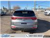 2017 Kia Sportage LX (Stk: T481A1) in Thunder Bay - Image 4 of 19