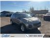 2017 Kia Sportage LX (Stk: T481A1) in Thunder Bay - Image 7 of 19
