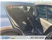 2017 Kia Sportage LX (Stk: T481A1) in Thunder Bay - Image 11 of 19