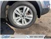 2017 Kia Sportage LX (Stk: T481A1) in Thunder Bay - Image 15 of 19