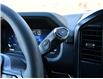 2026 Ford F-150 STX (Stk: F62301) in GEORGETOWN - Image 14 of 24