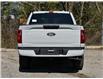 2026 Ford F-150 STX (Stk: F62301) in GEORGETOWN - Image 23 of 24