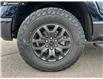 2026 Ford F-150 Tremor (Stk: 26AT8809) in Airdrie - Image 6 of 25