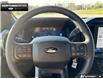 2026 Ford F-150 STX (Stk: 6F139660) in Brantford - Image 12 of 23