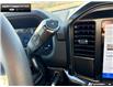 2026 Ford F-150 STX (Stk: 6F139660) in Brantford - Image 16 of 23