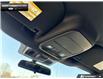 2026 Ford F-150 STX (Stk: 6F139660) in Brantford - Image 19 of 23