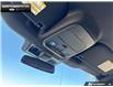 2026 Ford F-150 XLT (Stk: 6F196099) in Brantford - Image 19 of 23