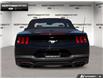 2026 Ford Mustang EcoBoost Premium (Stk: 6MU1458) in Brantford - Image 5 of 22