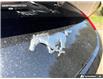 2026 Ford Mustang EcoBoost Premium (Stk: 6MU1458) in Brantford - Image 8 of 22