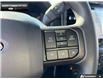 2026 Ford F-150 STX (Stk: 6F171747) in Brantford - Image 14 of 23