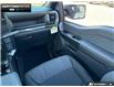 2026 Ford F-150 STX (Stk: 6F171747) in Brantford - Image 23 of 23