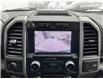 2019 Ford F-150  (Stk: 251598) in Kingston - Image 13 of 18