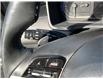 2024 Hyundai Santa Cruz  (Stk: 260327) in Kingston - Image 17 of 34