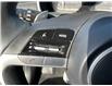 2024 Hyundai Santa Cruz  (Stk: 260327) in Kingston - Image 18 of 34