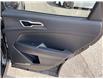 2024 Kia Sportage  (Stk: 260469) in Ottawa - Image 21 of 23