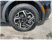 2024 Kia Sportage  (Stk: 260469) in Ottawa - Image 23 of 23