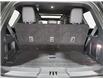 2024 Ford Expedition Platinum (Stk: 16924-1) in Wyoming - Image 15 of 15