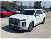 2025 Hyundai Palisade Ultimate Calligraphy (Stk: 2610202A) in Aurora - Image 7 of 8