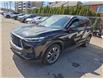 2024 Infiniti QX60 Luxe (Stk: 43960J) in Belleville - Image 1 of 8